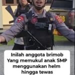 FB_IMG_1771699020817