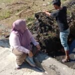 IMG-20260522-WA0051